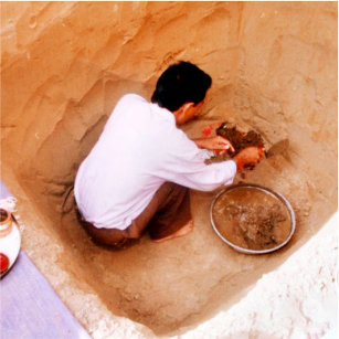 career-foundation
